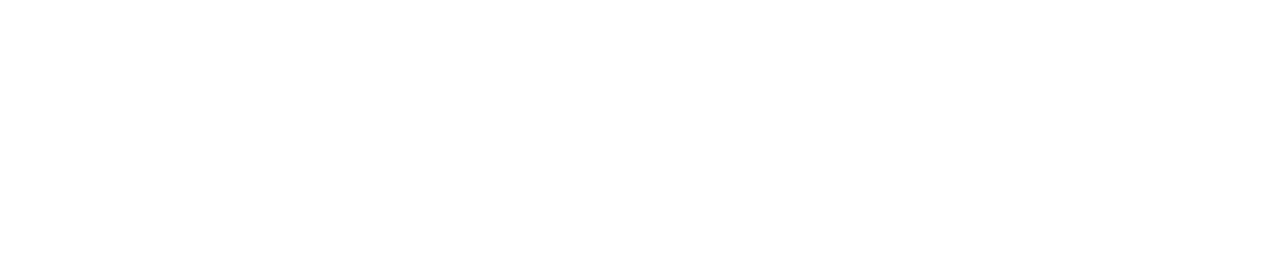 Theodo